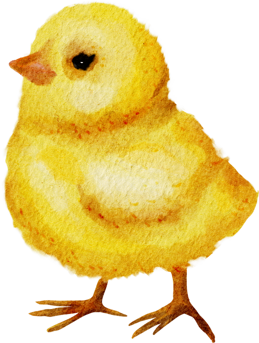 Watercolor Chick